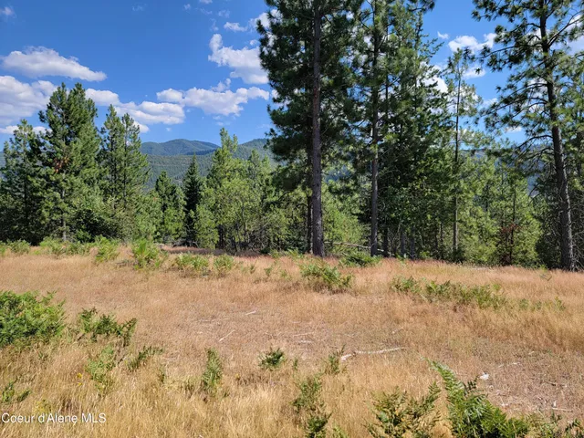 $199,000 | Lot A Lot A Blue Star Lane, Pinehurst, ID 83850