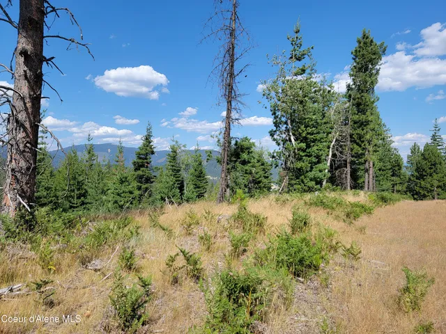 $199,000 | Lot A Lot A Blue Star Lane, Pinehurst, ID 83850