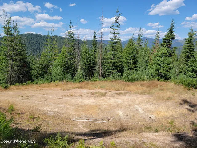 $199,000 | Lot A Lot A Blue Star Lane, Pinehurst, ID 83850