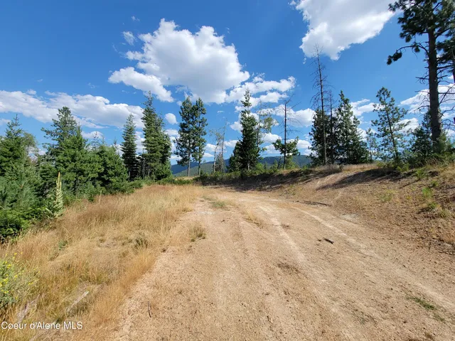 $199,000 | Lot A Lot A Blue Star Lane, Pinehurst, ID 83850