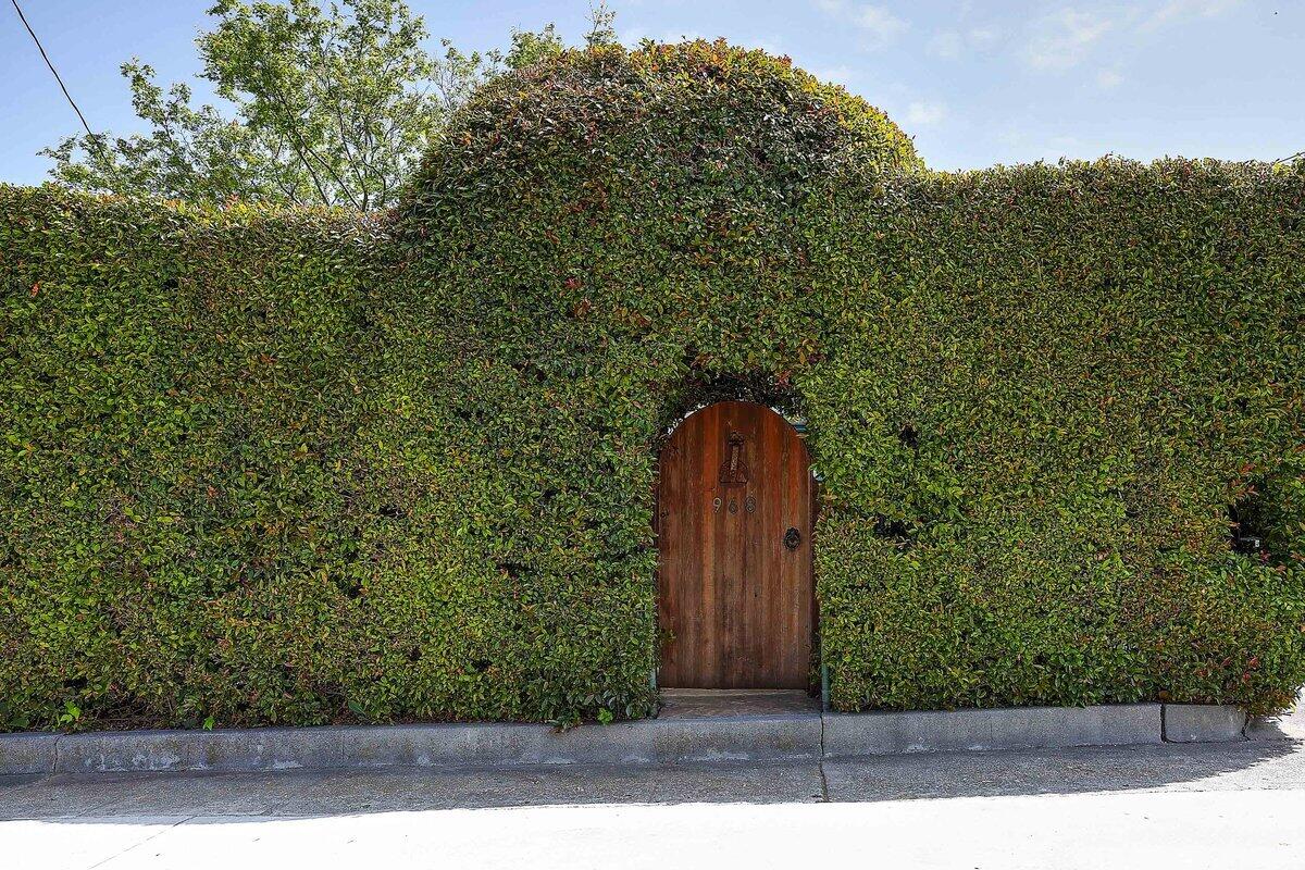 0 Medio Road Santa Barbara, CA 93103 - Photo 2 of 20 a view of a backyard with potted plants