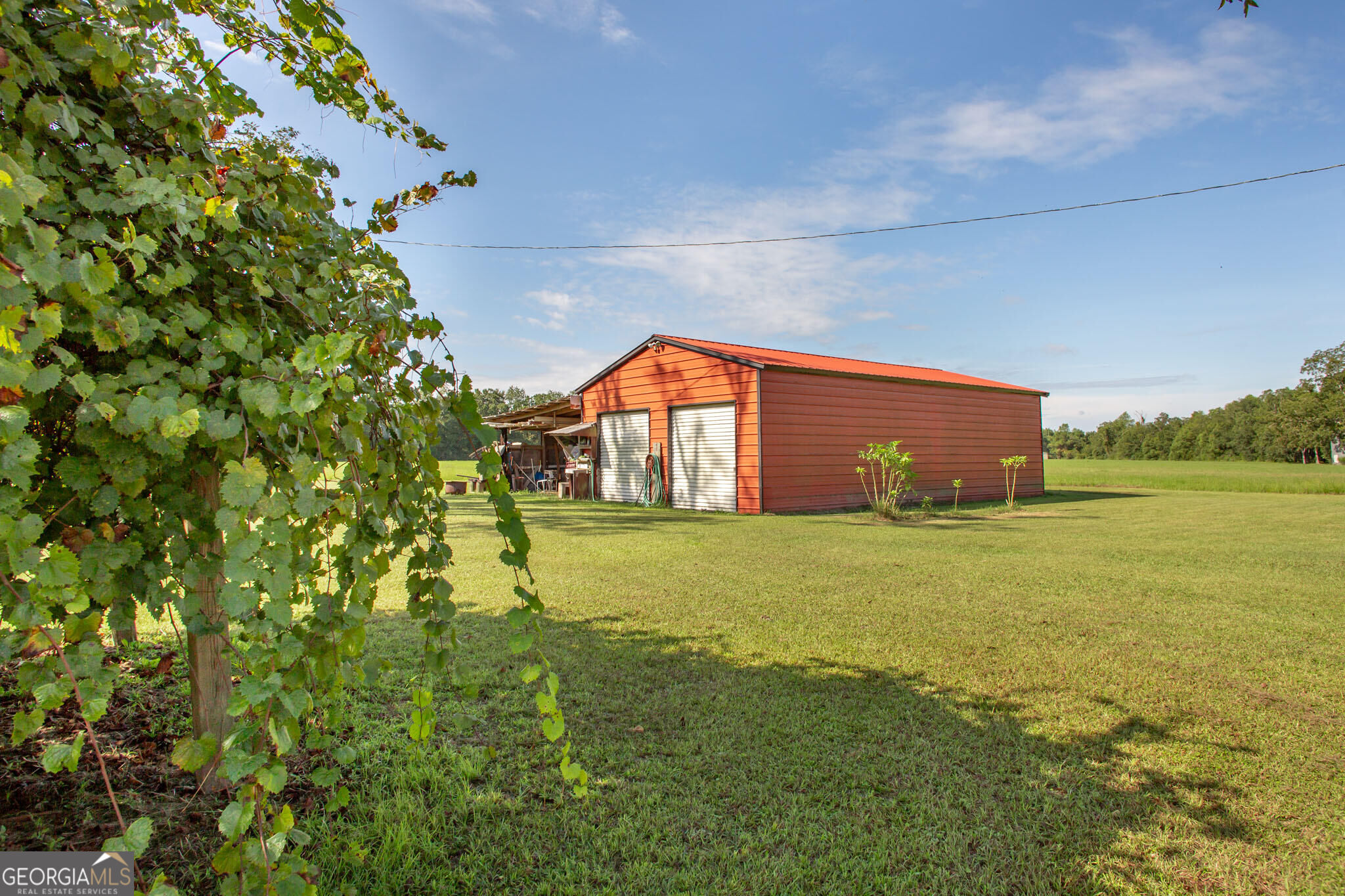 8184 Clark Road Blackshear, GA 31516 - Photo 14 of 61 Gallery Image 14