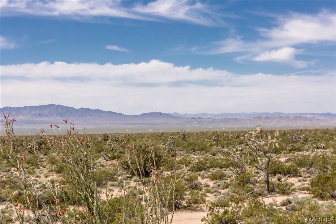 438 South John Wayne Road Yucca, AZ 86438 - Photo 1 of 5 Gallery Image 1