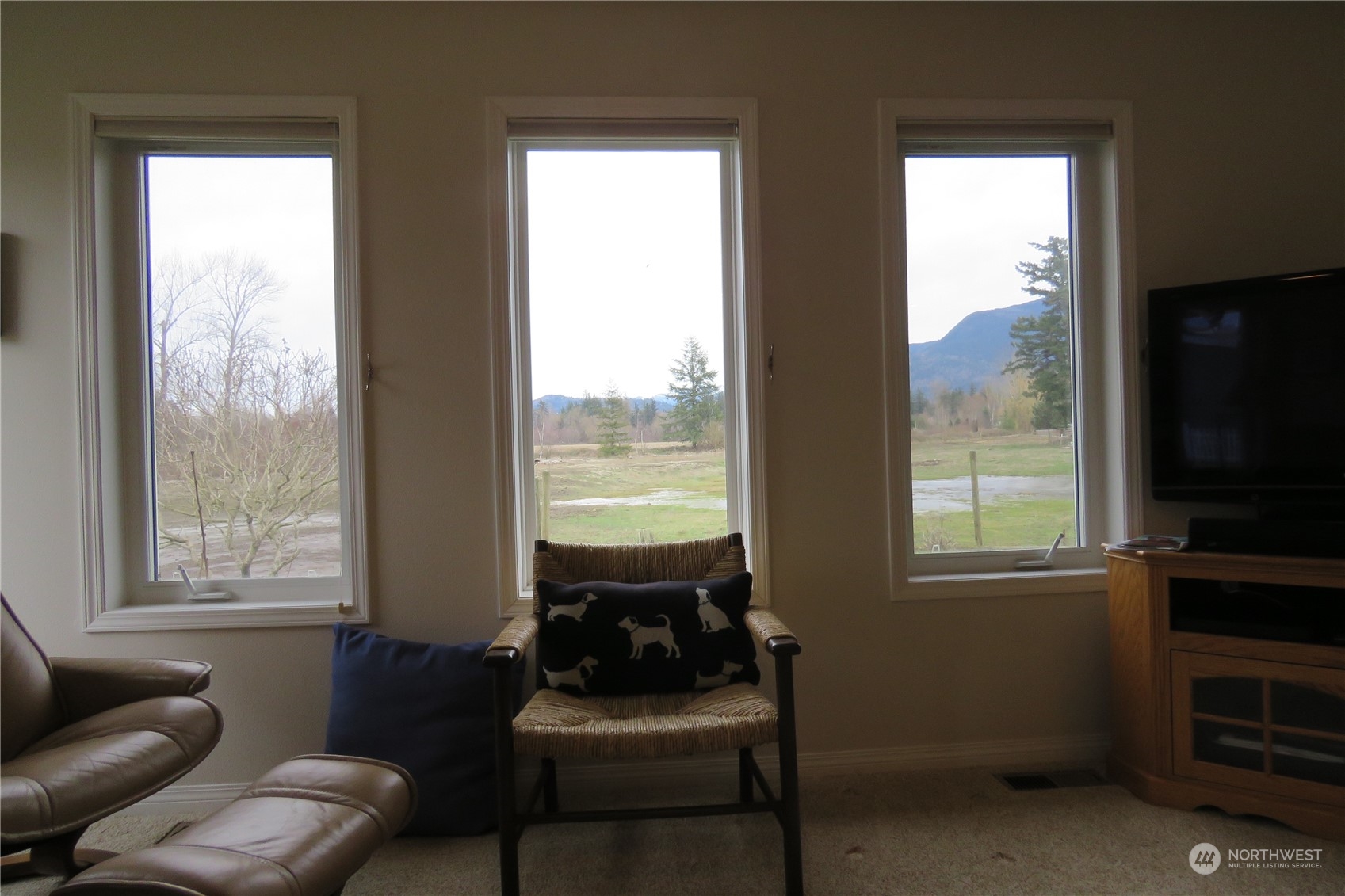 107 South Pass Road, Unit 28 Nooksack, WA 98276 - Photo 11 of 38 a living room with furniture tv and a window
