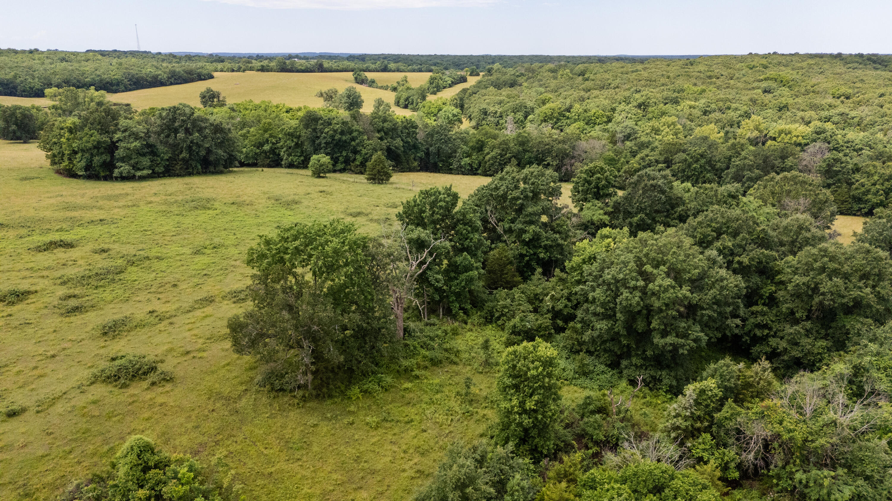 0 South 220th Road Half Way, MO 65663 - Photo 26 of 47 Polk 30 drone-20