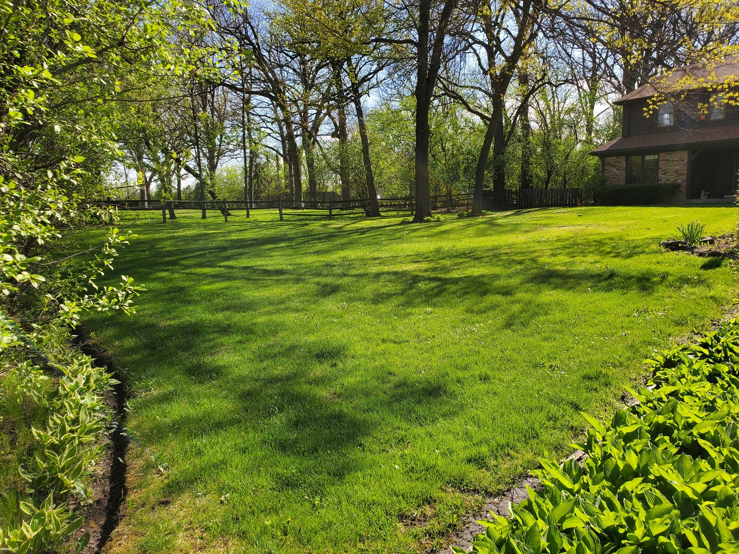 60 North Ridge Road Lake Forest, IL 60045 - Photo 31 of 36 a big yard with lots of trees