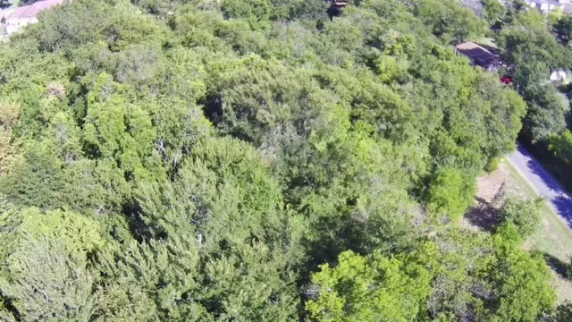view of a forest with a houses
