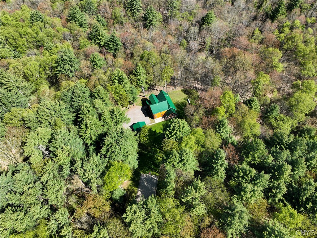 621 Tynan Road Vienna, NY 13042 - Photo 5 of 42