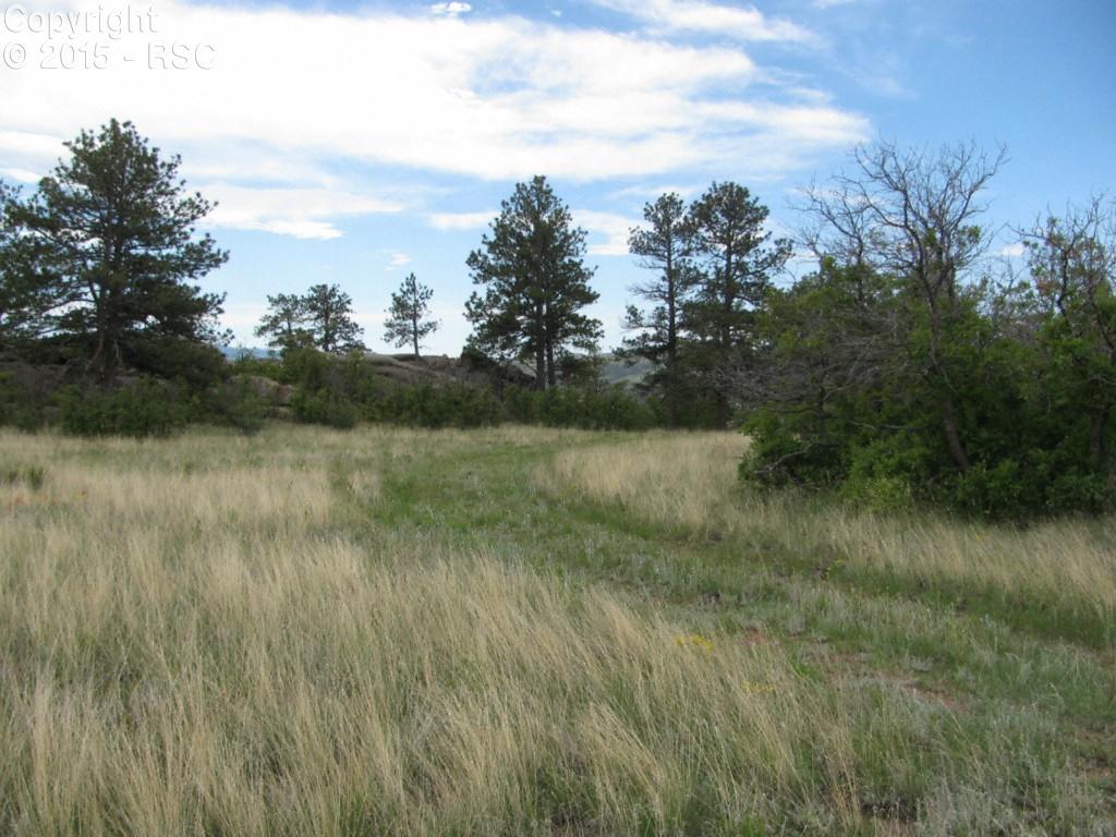 519 Cheyenne Road Florissant, CO 80816 - Photo 1 of 14