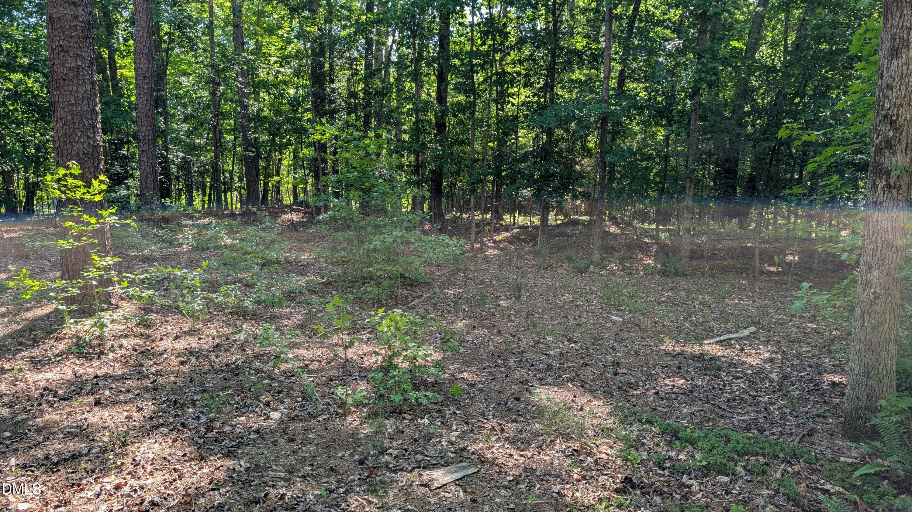 2069-lot B Bowen Road Rougemont, NC 27572 - Photo 5 of 5