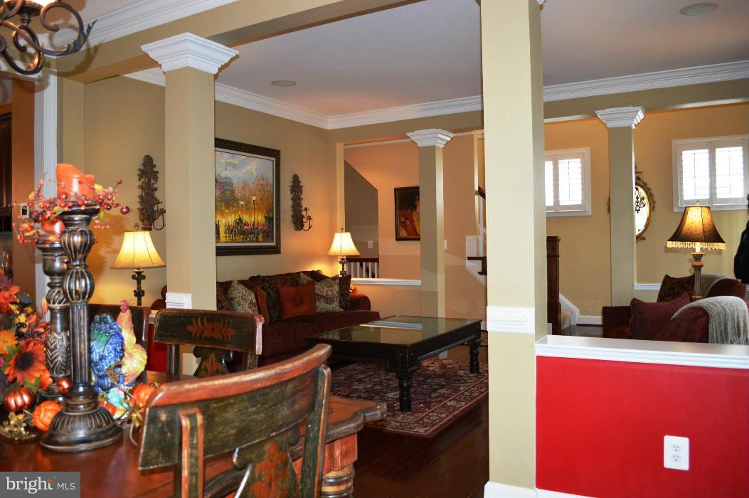 42473 Spring Splendor Drive Ashburn, VA 20148 - Photo 13 of 30 Living Room