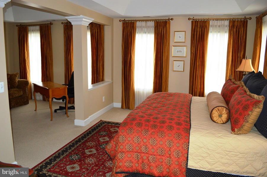 42473 Spring Splendor Drive Ashburn, VA 20148 - Photo 17 of 30 Bedroom (Master)