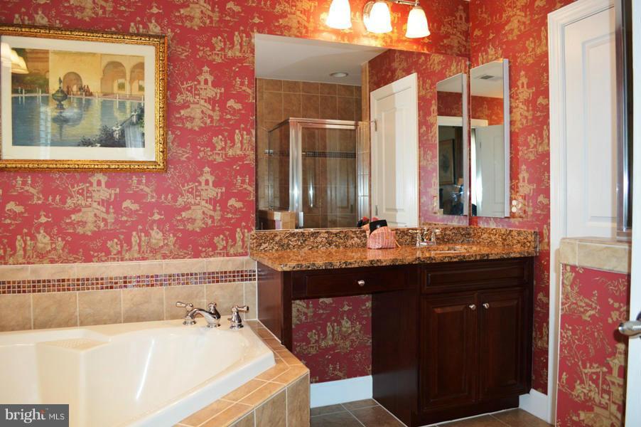 42473 Spring Splendor Drive Ashburn, VA 20148 - Photo 19 of 30 Bath (Master)