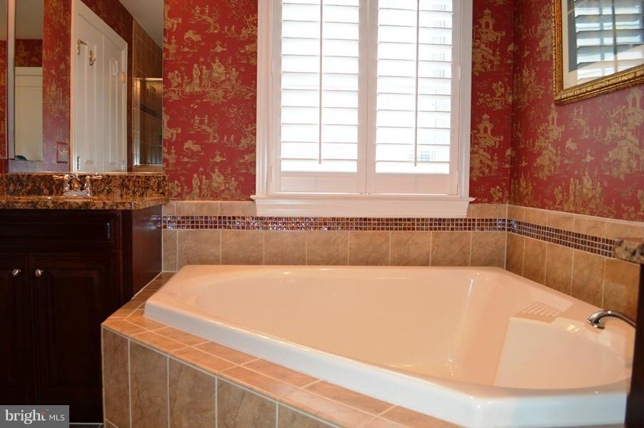 42473 Spring Splendor Drive Ashburn, VA 20148 - Photo 20 of 30 Bath (Master)