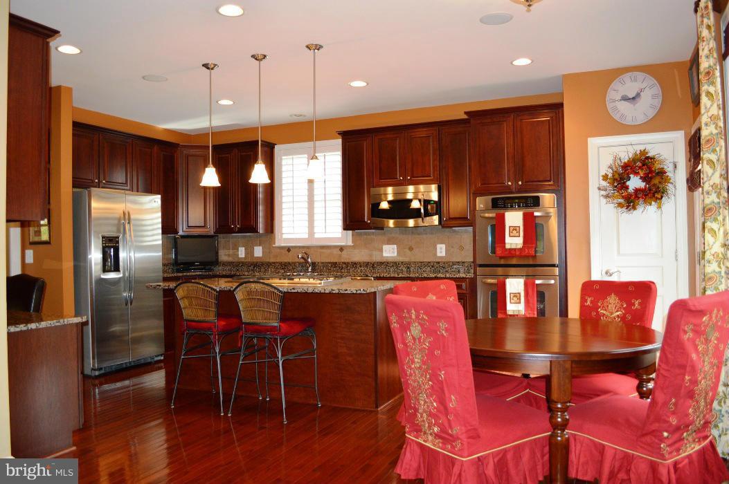 42473 Spring Splendor Drive Ashburn, VA 20148 - Photo 3 of 30 Kitchen