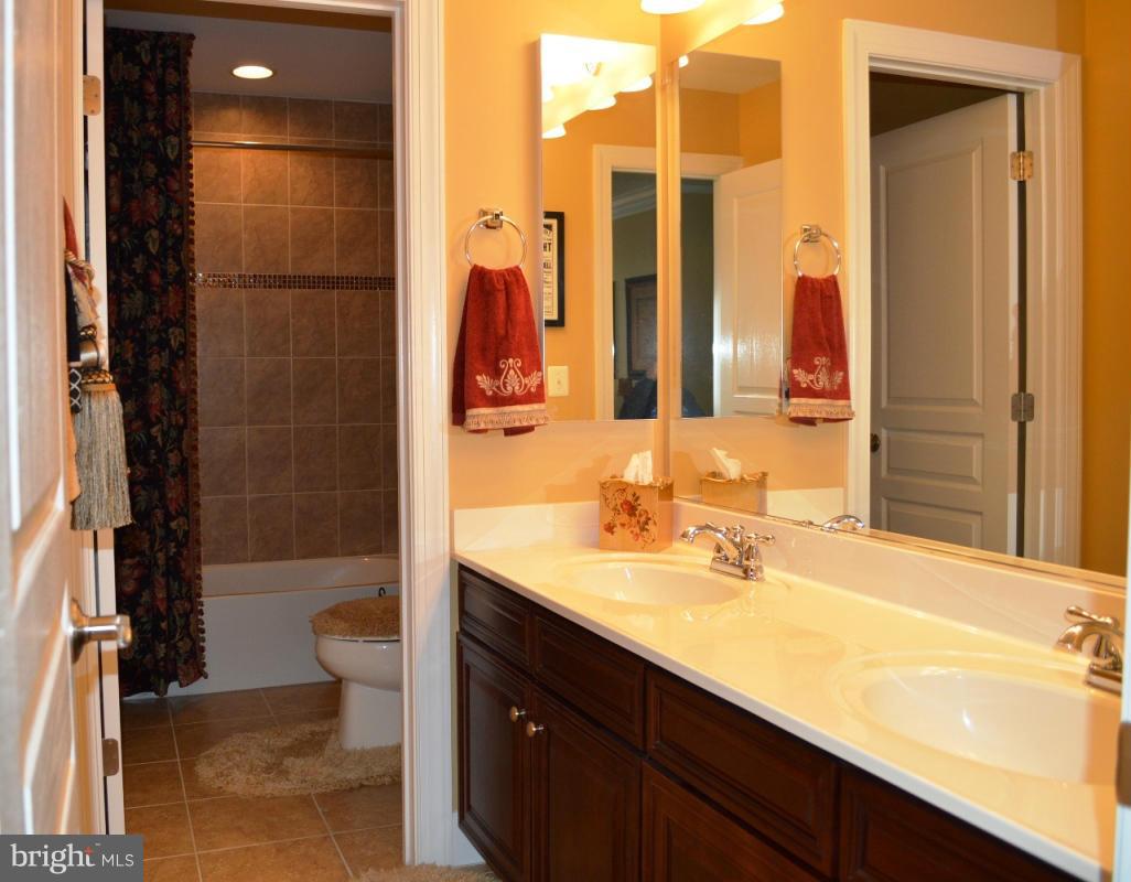 42473 Spring Splendor Drive Ashburn, VA 20148 - Photo 24 of 30 Bath