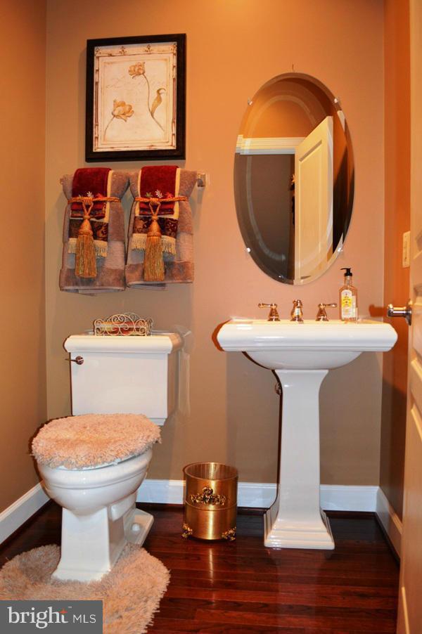 42473 Spring Splendor Drive Ashburn, VA 20148 - Photo 26 of 30 Bath