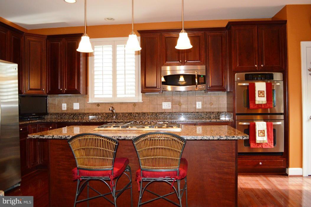 42473 Spring Splendor Drive Ashburn, VA 20148 - Photo 5 of 30 Kitchen