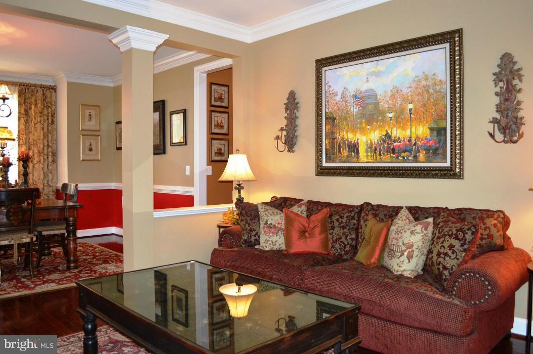 42473 Spring Splendor Drive Ashburn, VA 20148 - Photo 10 of 30 Living Room