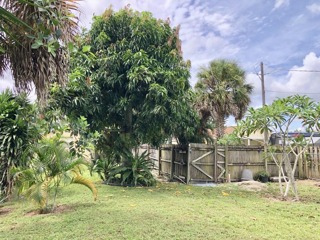 5821 Mango Road West Palm Beach, FL 33413 - Photo 18 of 21 Backyard3