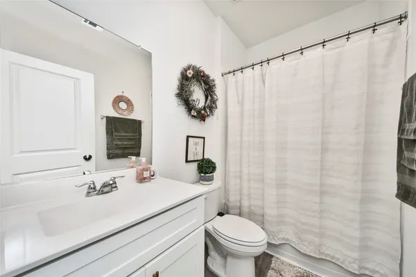 a bathroom with a sink a toilet and shower curtain