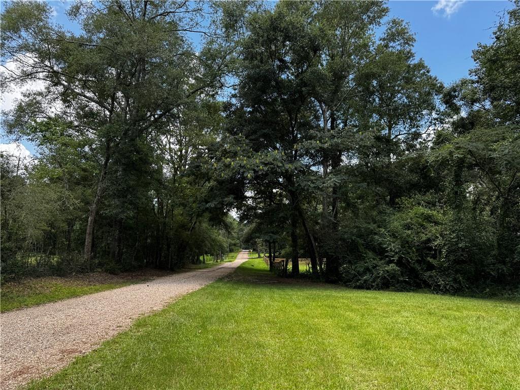 15.9-acres Hunt Road Covington, LA 70435 - Photo 2 of 6