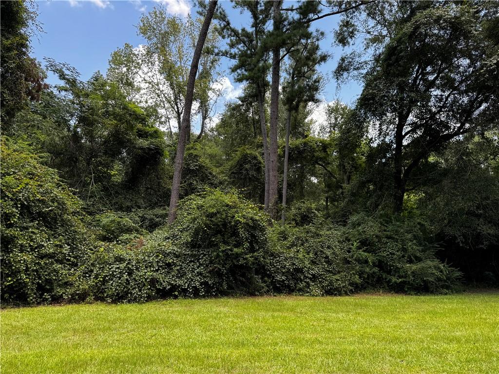 15.9-acres Hunt Road Covington, LA 70435 - Photo 4 of 6