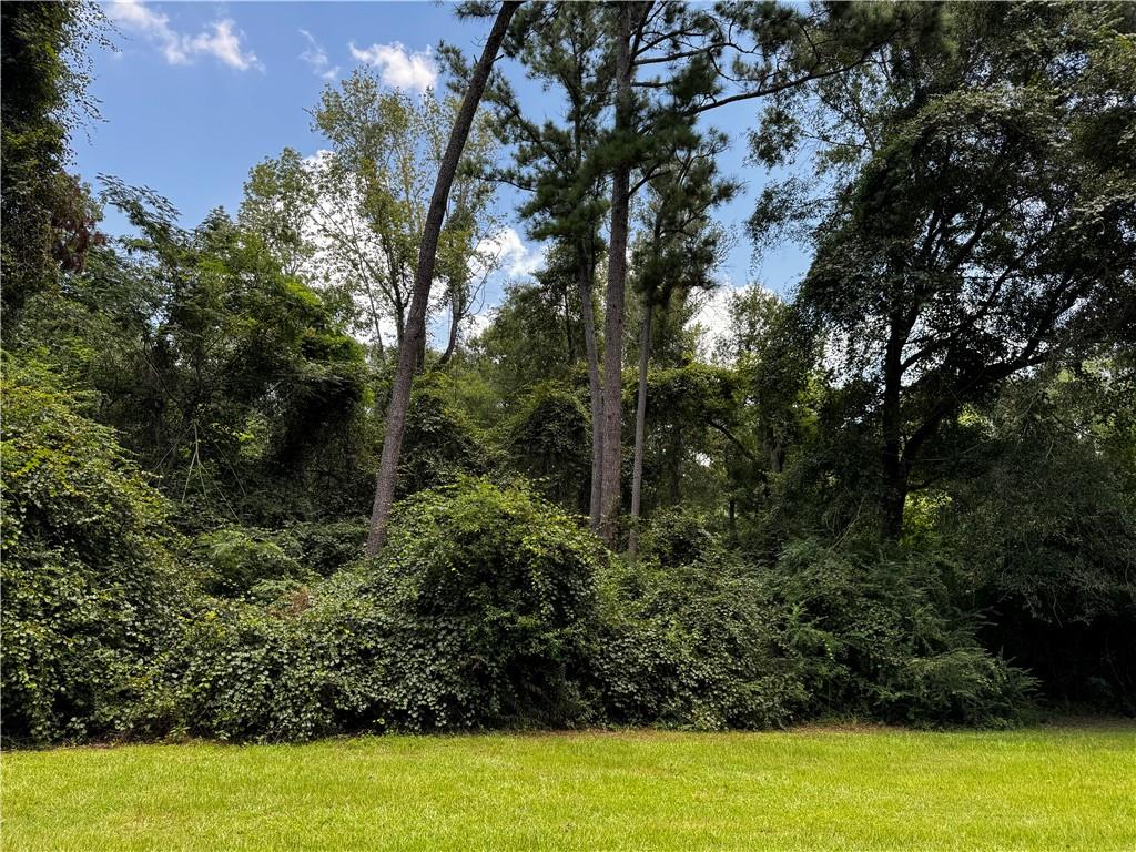 15.9-acres Hunt Road Covington, LA 70435 - Photo 5 of 6