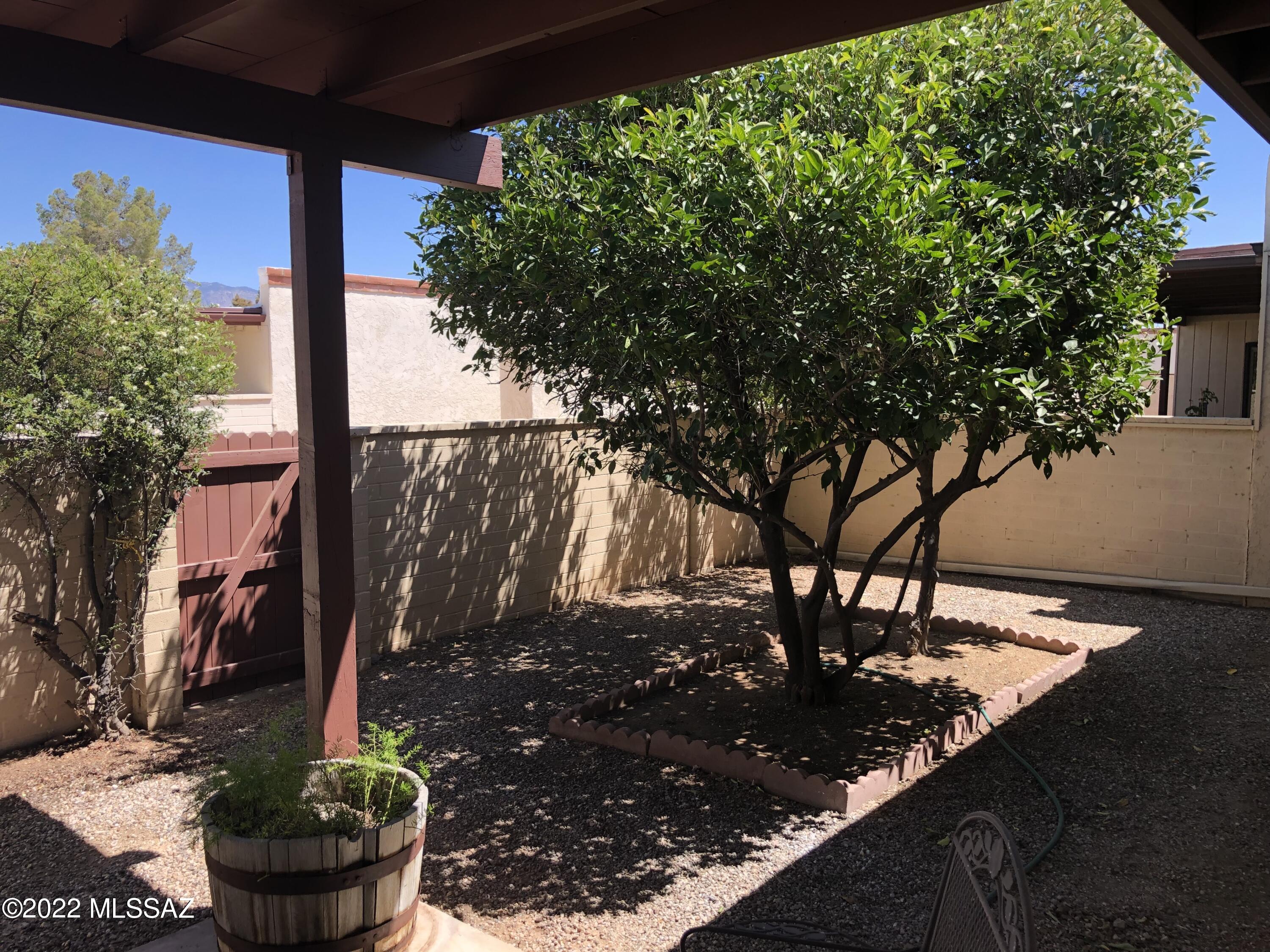 7649 East Mabel Street Tucson, AZ 85715 - Photo 3 of 24