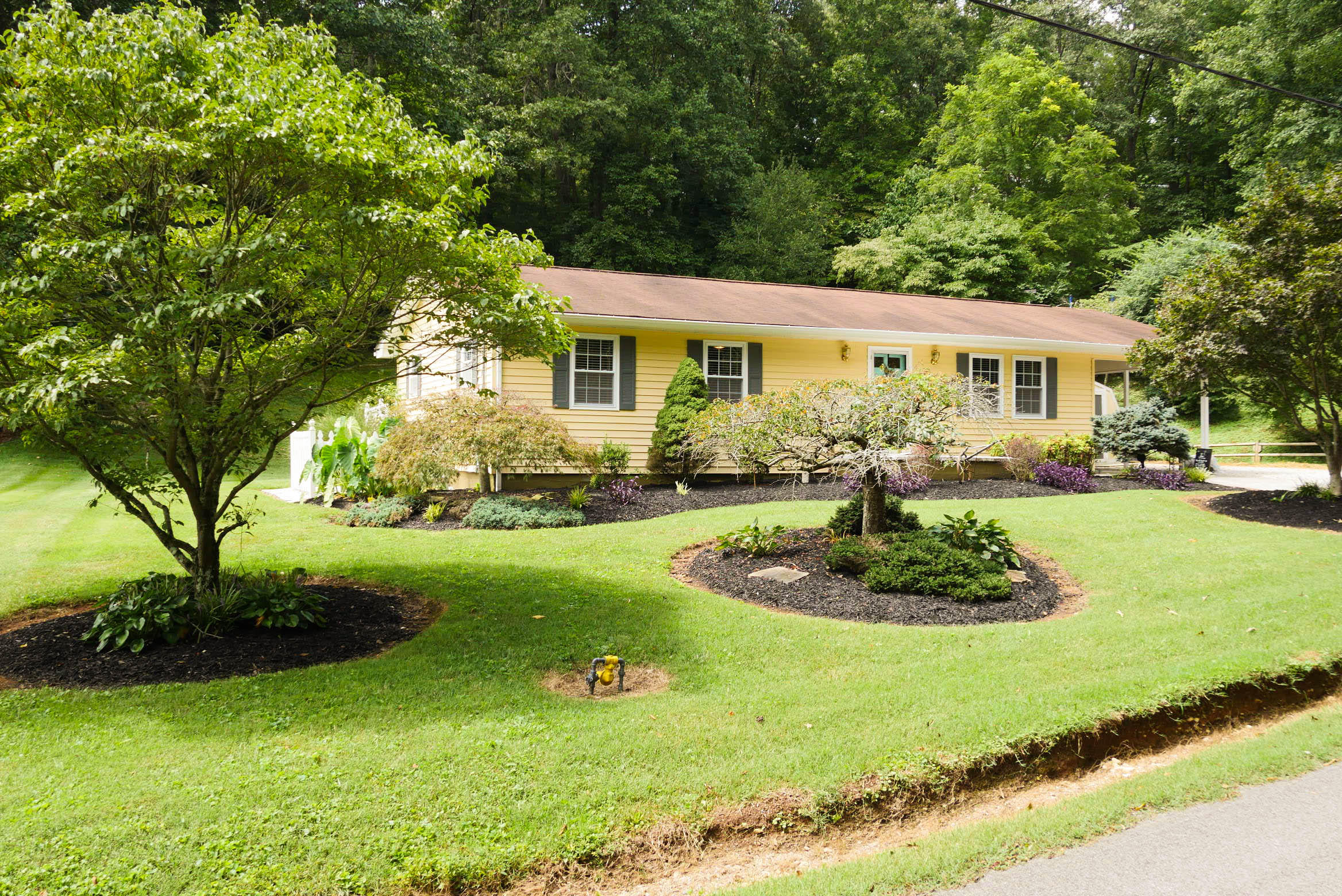 316 Ivanhoe Road Powell, TN 37849 - Photo 2 of 24 HOUSE-2