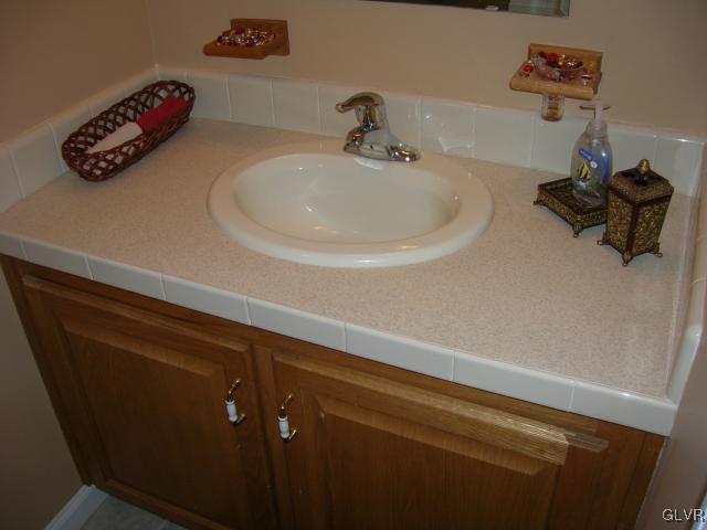 24 Spokane Road Albrightsville, PA 18210 - Photo 20 of 38 The Master Bath is clean and fresh featuring styli