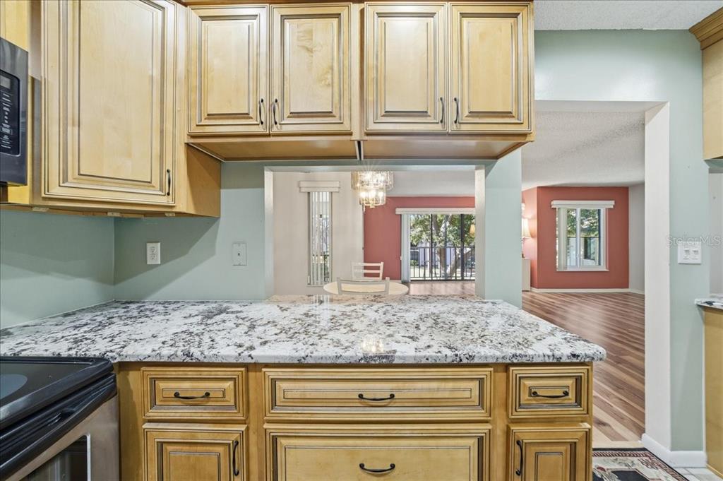 2666 Pine Ridge Way North, Unit C2 Palm Harbor, FL 34684 - Photo 28 of 74