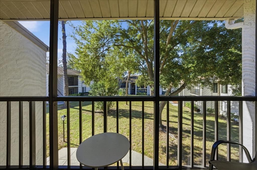 2666 Pine Ridge Way North, Unit C2 Palm Harbor, FL 34684 - Photo 43 of 74