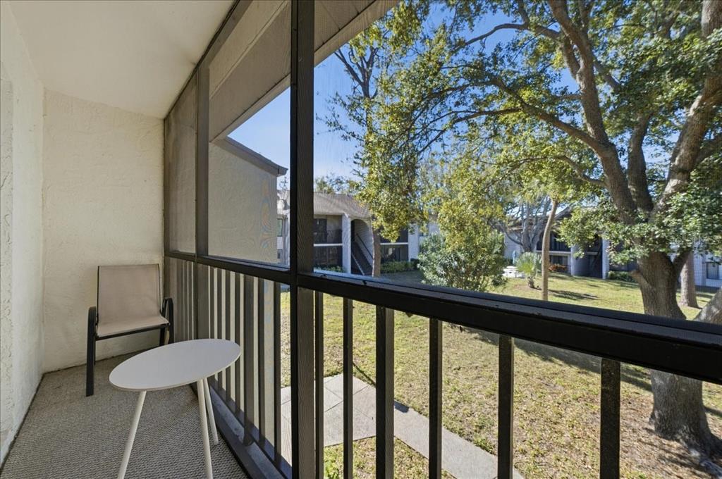 2666 Pine Ridge Way North, Unit C2 Palm Harbor, FL 34684 - Photo 45 of 74 a view of a porch with furniture and trees