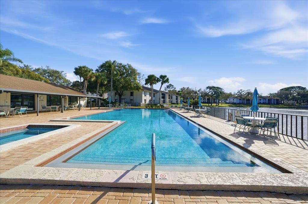 2666 Pine Ridge Way North, Unit C2 Palm Harbor, FL 34684 - Photo 56 of 74 a view of a house with swimming pool