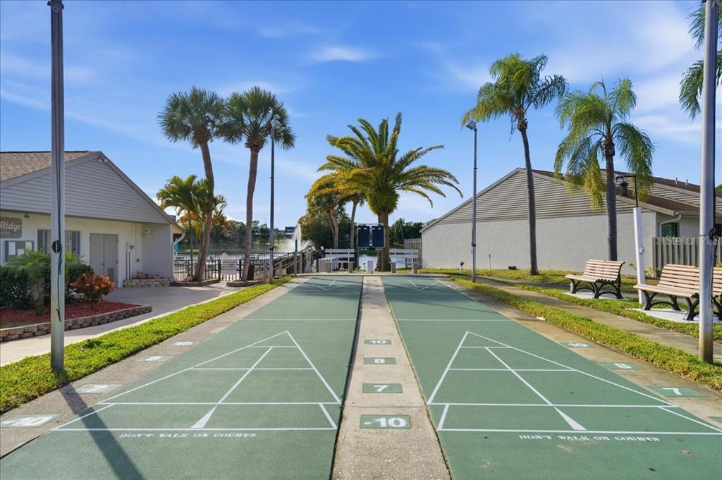 2666 Pine Ridge Way North, Unit C2 Palm Harbor, FL 34684 - Photo 59 of 74 a view of a swimming pool with a lawn chairs under palm trees