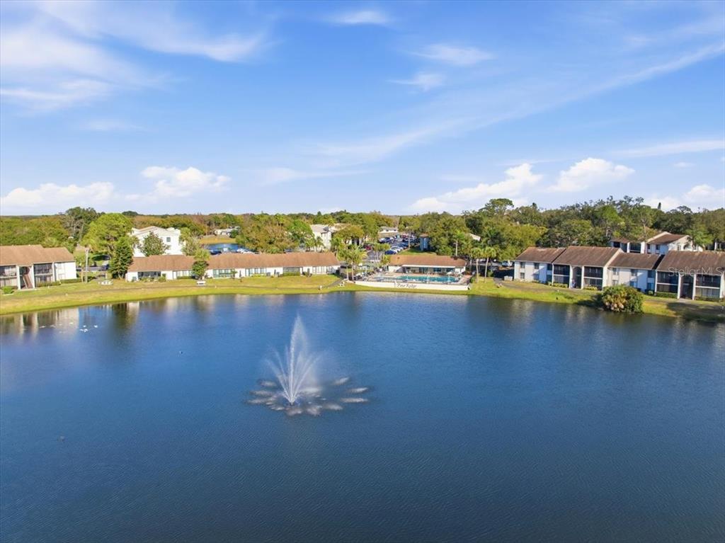 2666 Pine Ridge Way North, Unit C2 Palm Harbor, FL 34684 - Photo 69 of 74 a view of a city with lake
