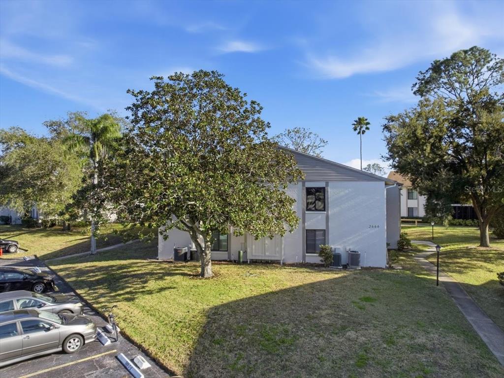 2666 Pine Ridge Way North, Unit C2 Palm Harbor, FL 34684 - Photo 71 of 74