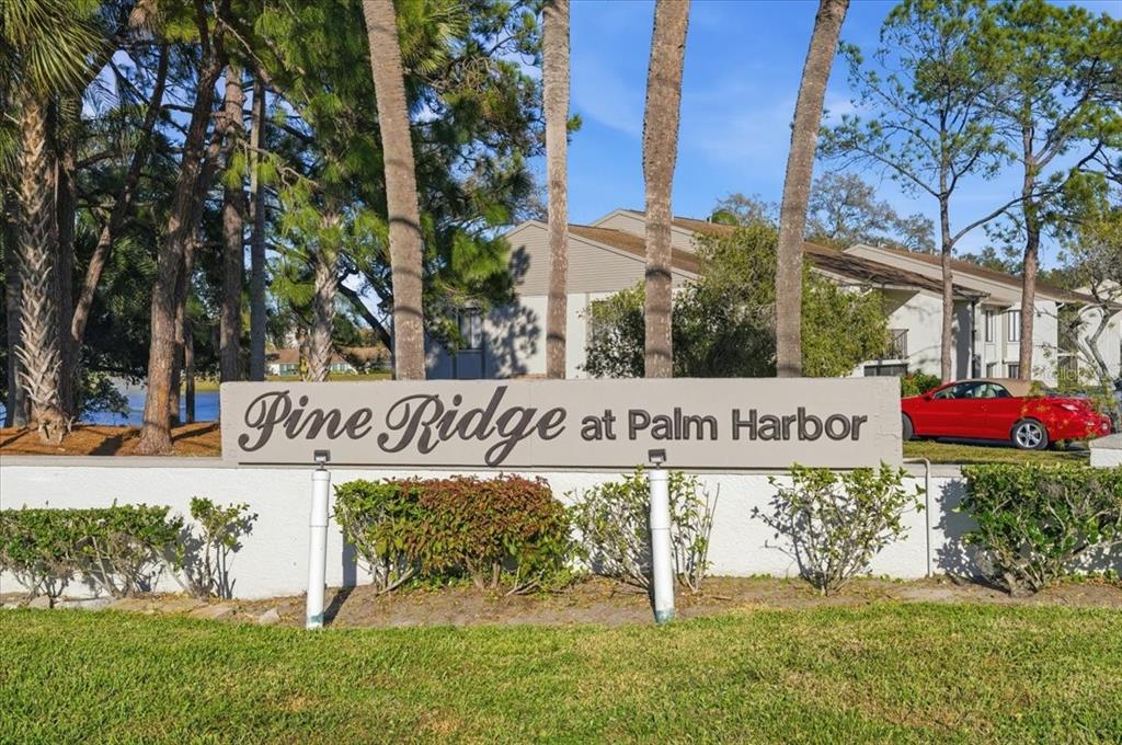 2666 Pine Ridge Way North, Unit C2 Palm Harbor, FL 34684 - Photo 73 of 74