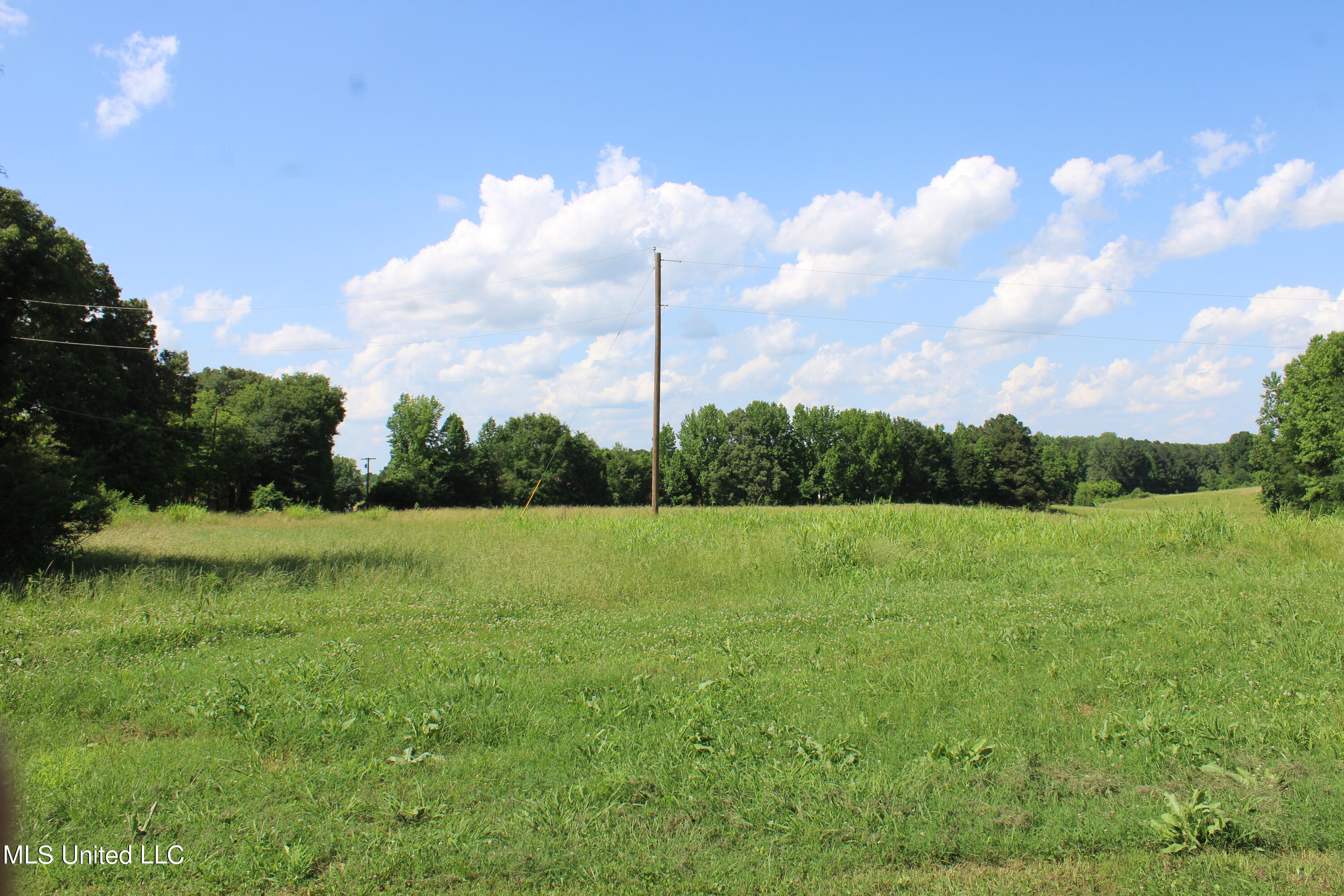 2196 Baldwin Road South Hernando, MS 38632 - Photo 39 of 69 IMG_3960