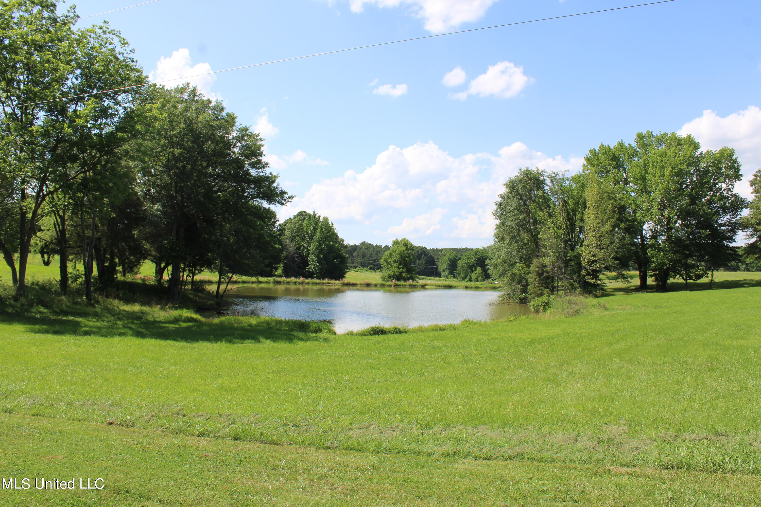 2196 Baldwin Road South Hernando, MS 38632 - Photo 42 of 69 IMG_3969