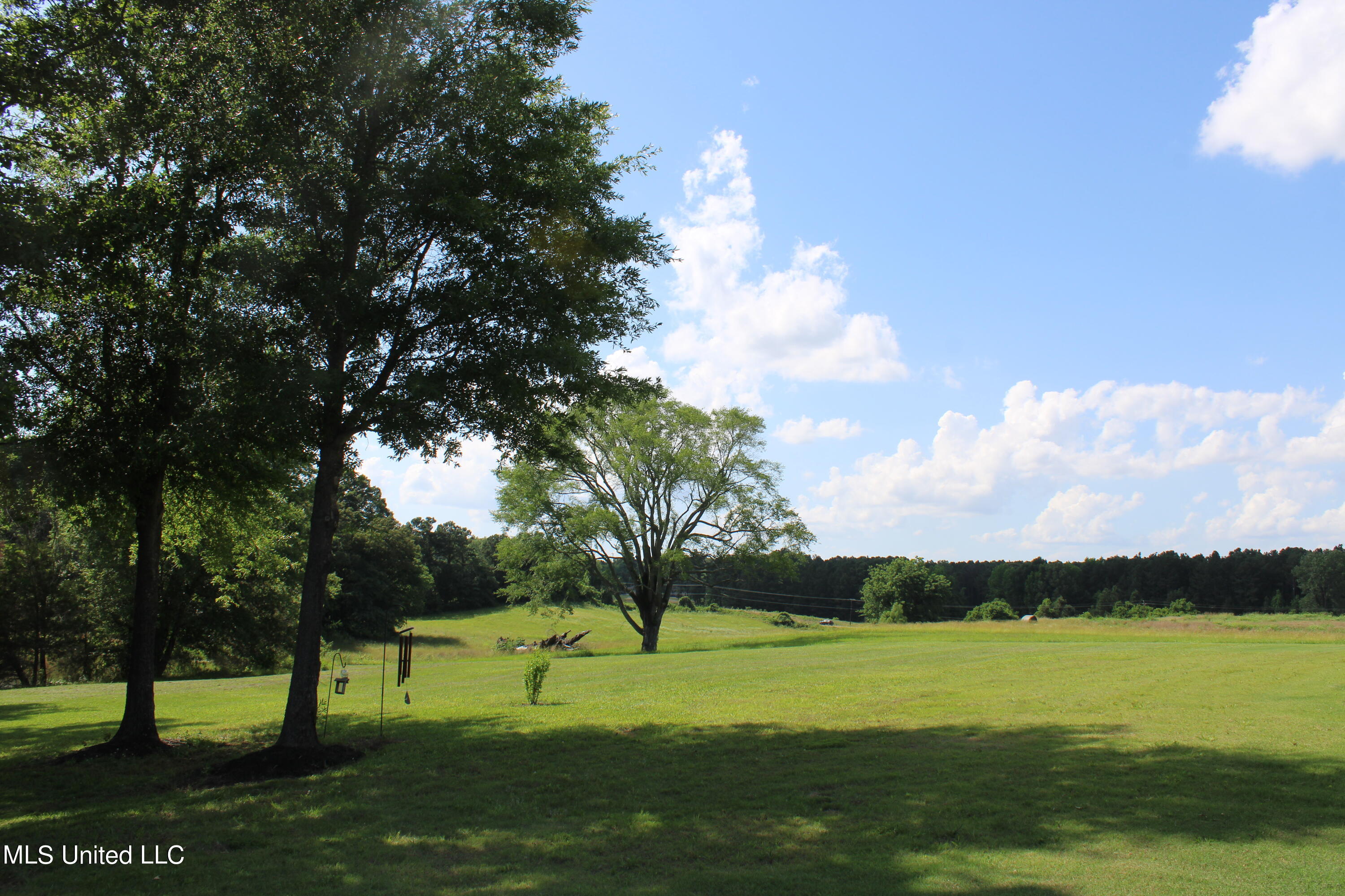 2196 Baldwin Road South Hernando, MS 38632 - Photo 50 of 69 IMG_3971