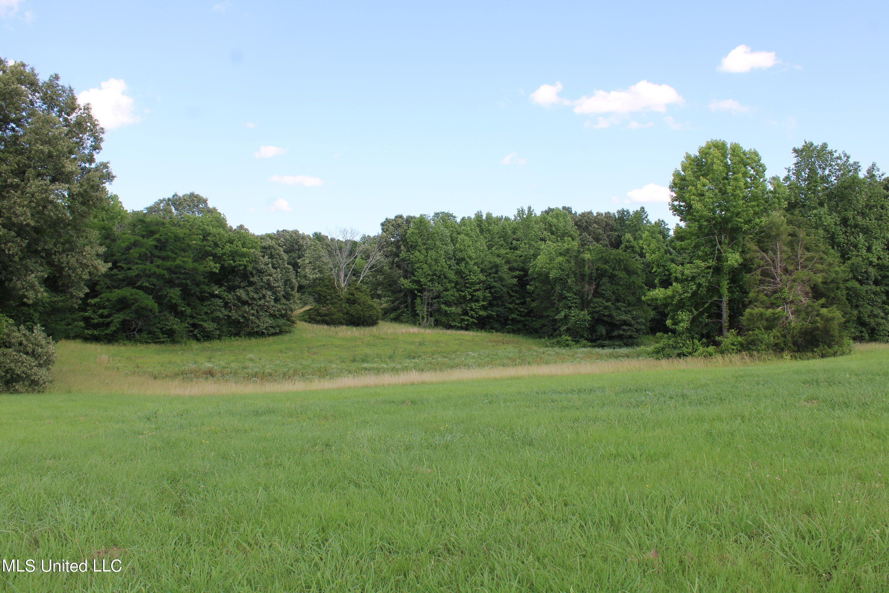 2196 Baldwin Road South Hernando, MS 38632 - Photo 52 of 69 IMG_3997