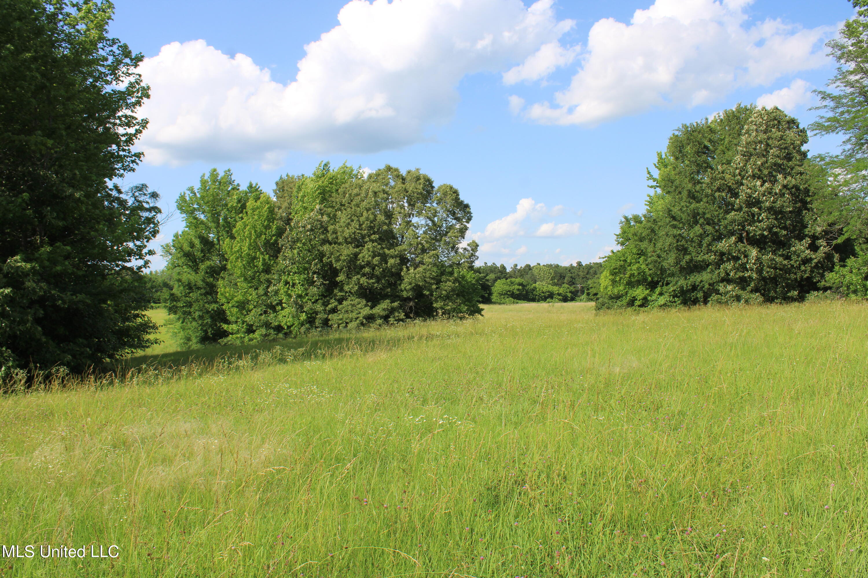 2196 Baldwin Road South Hernando, MS 38632 - Photo 54 of 69 IMG_4000
