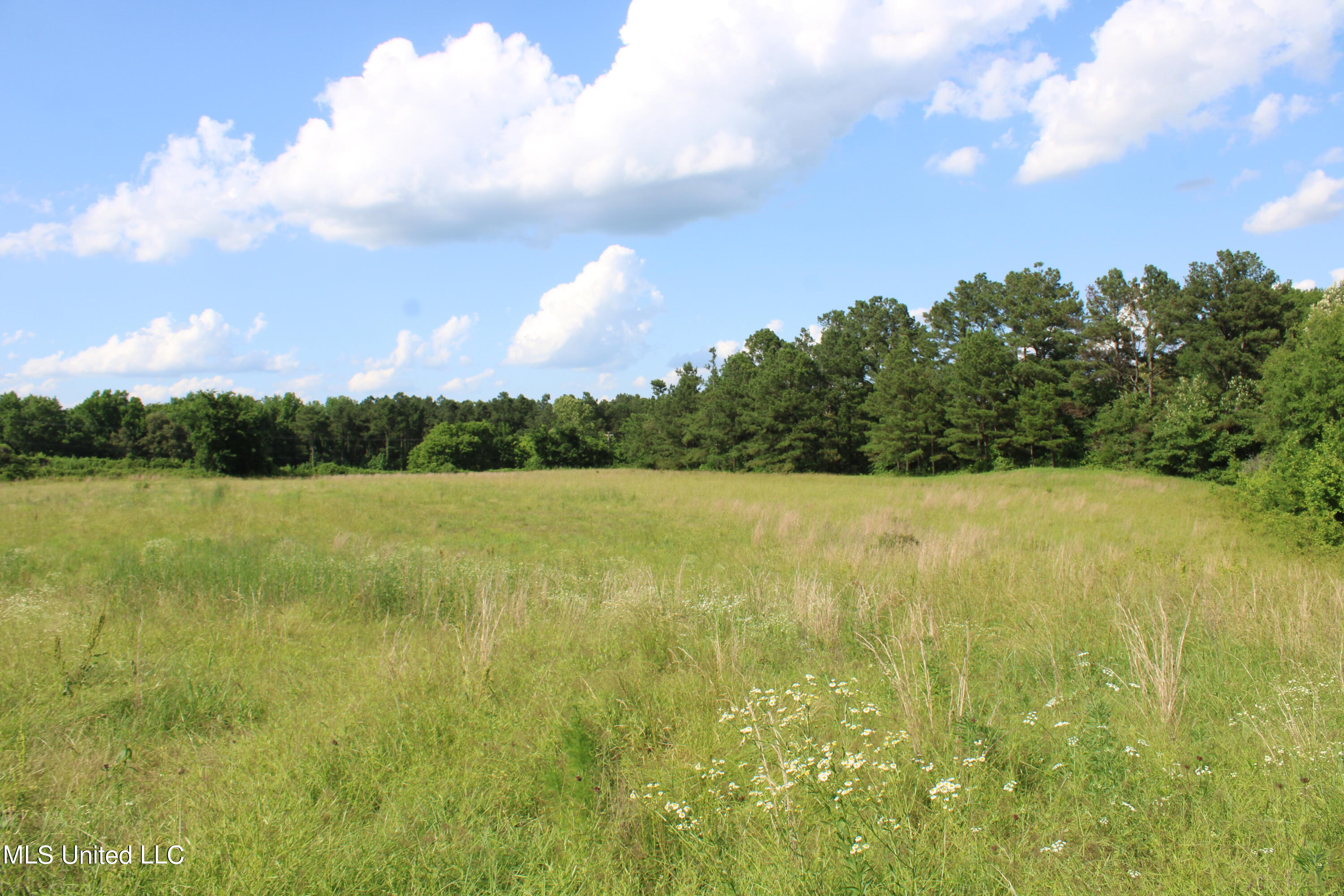 2196 Baldwin Road South Hernando, MS 38632 - Photo 56 of 69 IMG_4003