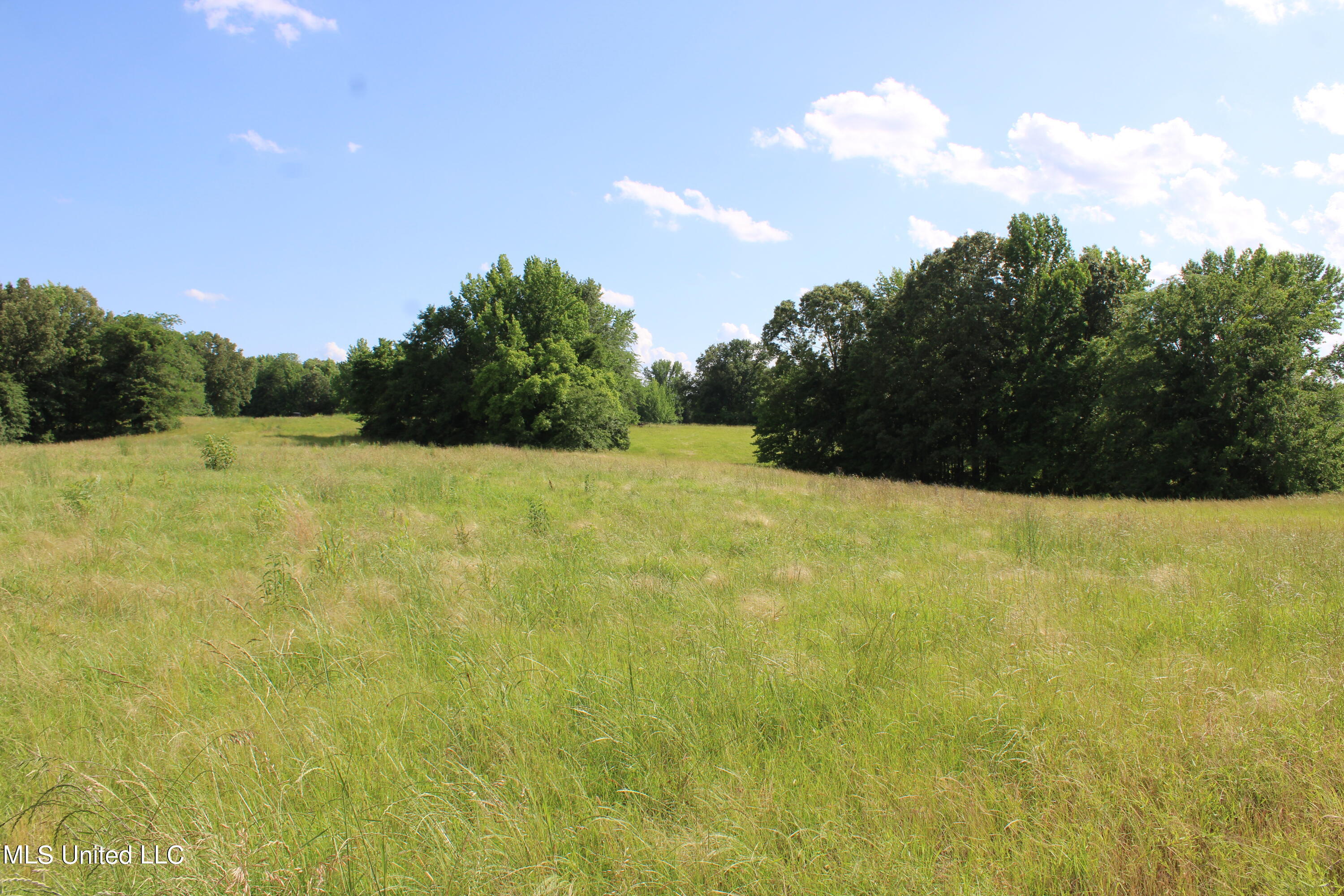 2196 Baldwin Road South Hernando, MS 38632 - Photo 58 of 69 IMG_4005