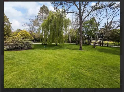a view of a park with large trees