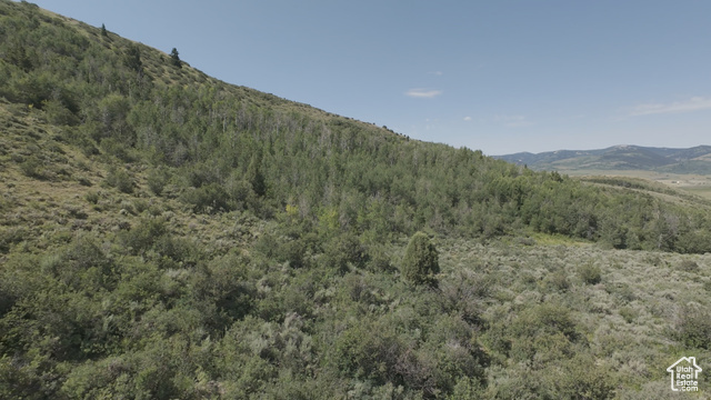 10 Stauffer Canyon Road Montpelier, ID 83254 - Photo 10 of 50 Mountain view featuring a heavily wooded area
