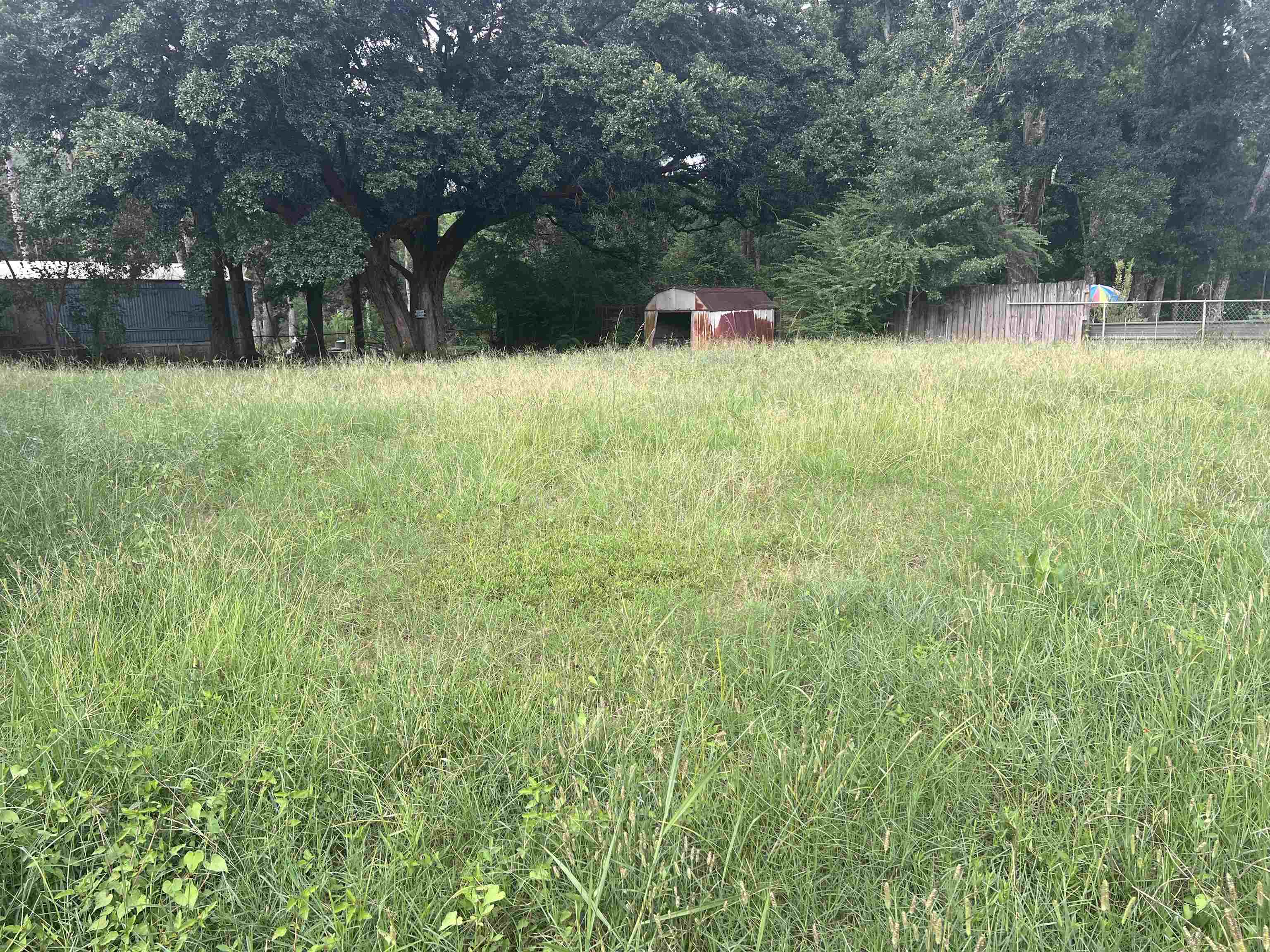 23340 Mildorf Road Robertsdale, AL 36567 - Photo 4 of 10