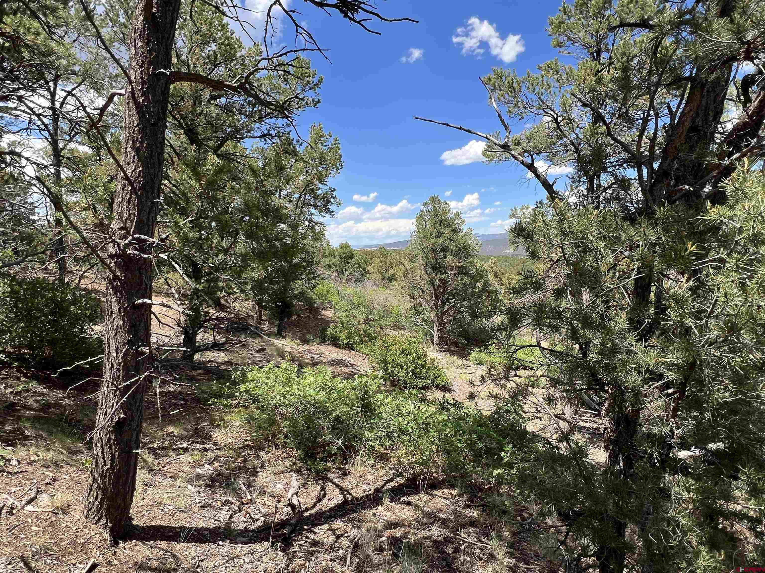 Lot 9 Pointe Escape Drive Ridgway, CO 81432 - Photo 13 of 33